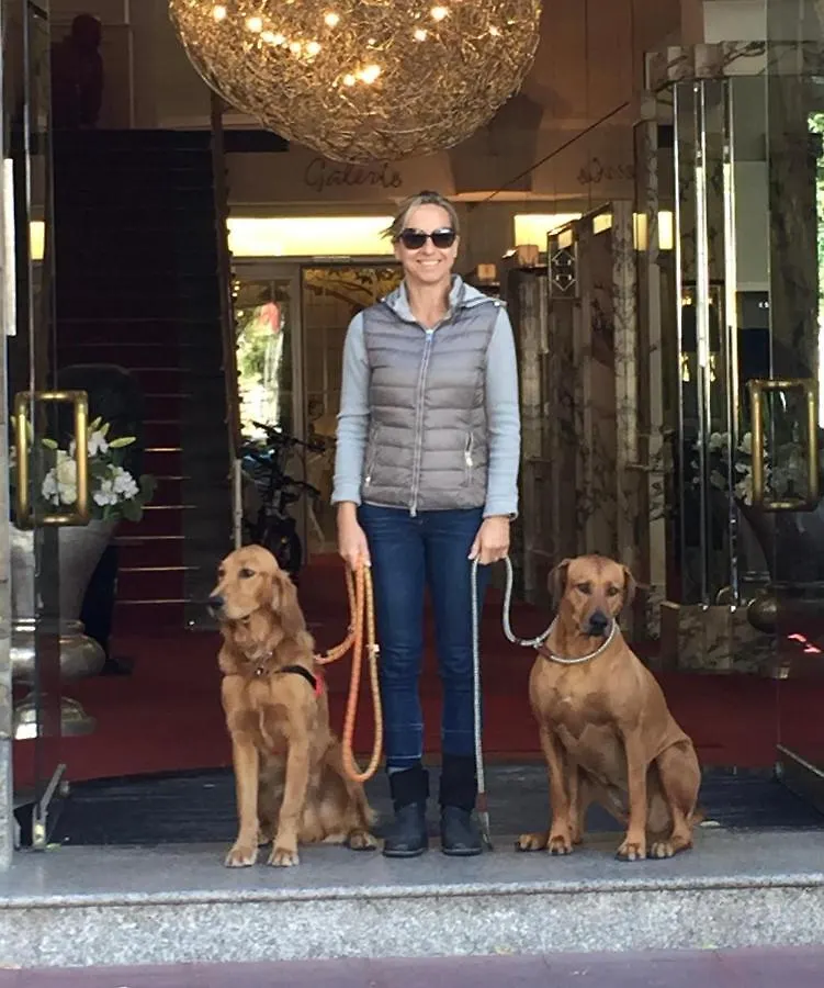 ****  Hotel Bamberger Hof Bellevue Allemagne